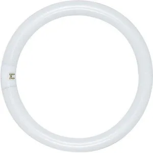 Satco S2950 Fluorescent Circline T9