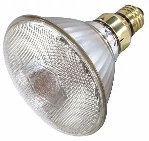 Satco S4889 HID PAR Flood & Spot PAR38