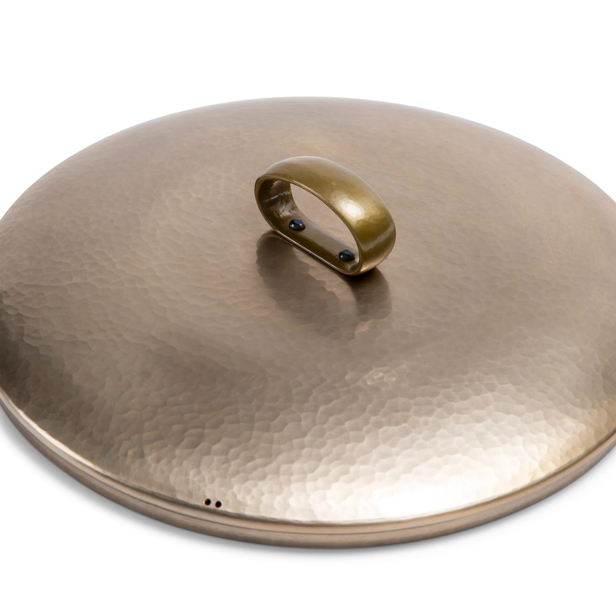 Two-handed stock pot with lid - 5 quarts