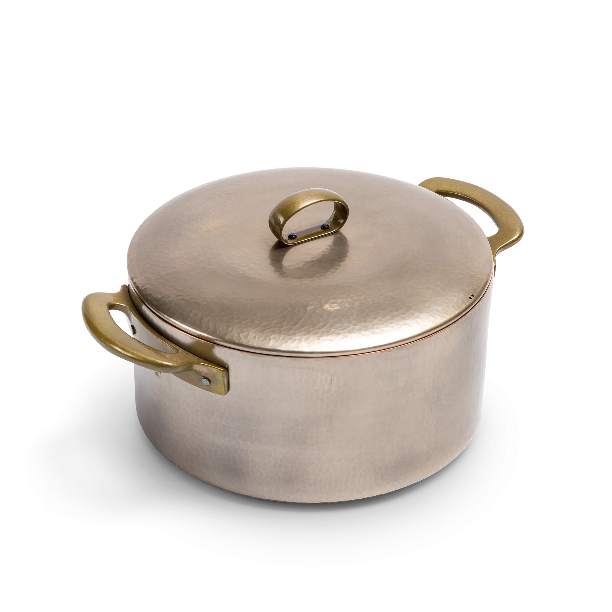 Two-handed stock pot with lid - 5 quarts